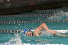 Swimming vs Babson  Wheaton College Swimming & Diving vs Babson College. - Photo By: KEITH NORDSTROM : Wheaton, Swimming